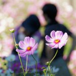 シングルマザーも彼氏がほしい！見つけ方や付き合い方のポイント