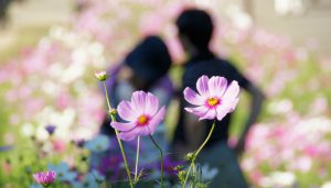 シングルマザーも彼氏がほしい！見つけ方や付き合い方のポイント