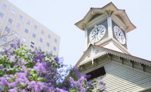 札幌のパパ活事情を紹介！ツイッターでも出会える？どこでデートする？
